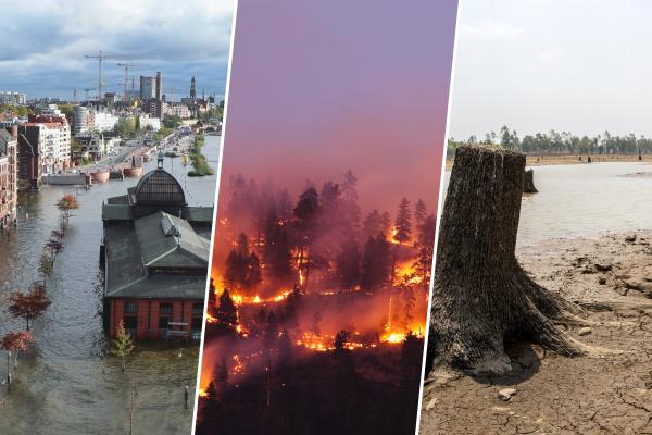 Extreme weather: glacial flooding, wildfires and hailstorms cause havoc across the world – video