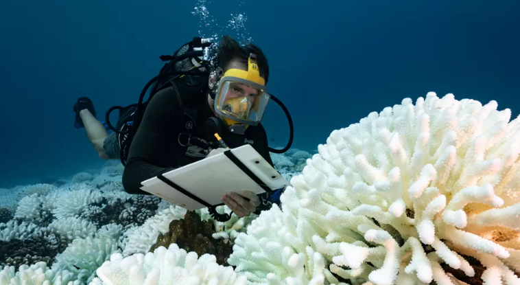 Ocean heat record broken, with grim implications for the planet