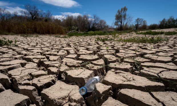 A dried-up part of the Muga riverbed in northern Spain. Photograph: David Borrat/EPA