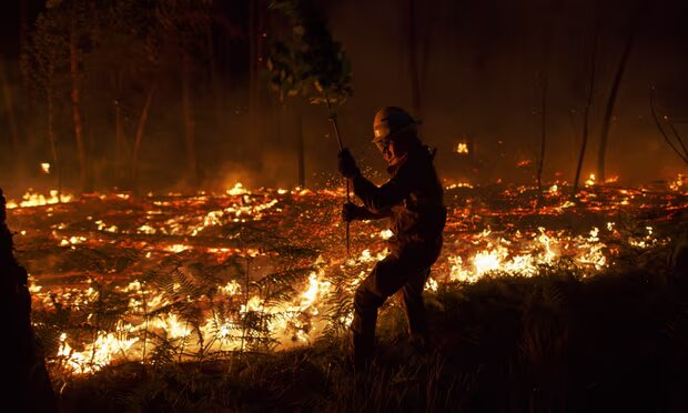 The group say they were driven to act by their experiences in the wildfires that hit the Leiria region of Portugal in 2017. Photograph: Pablo Blázquez Domínguez/Getty Images