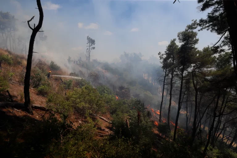 Firefighters try to stop the summer's first fire in Latakia province on July 29. (Omar Sanadiki/AP)
