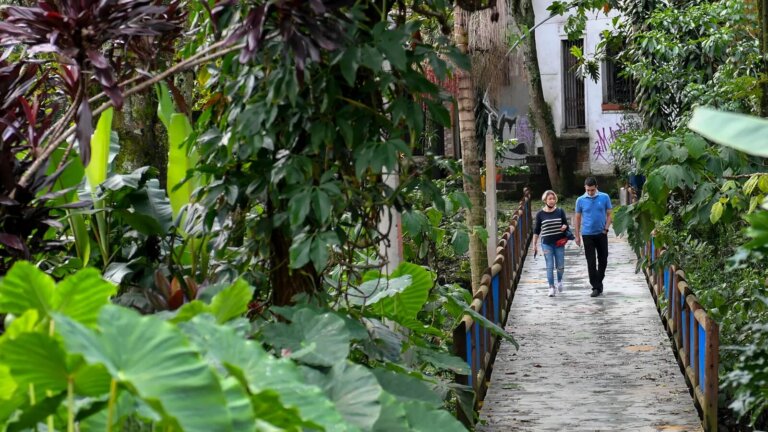 How Medellin is beating the heat with green corridors