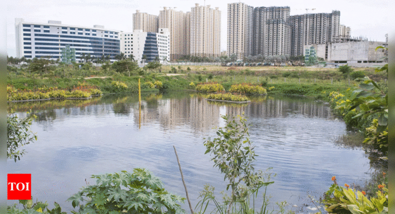 India’s ‘Lake Man’ Relies on Ancient Methods to Ease a Water Crisis