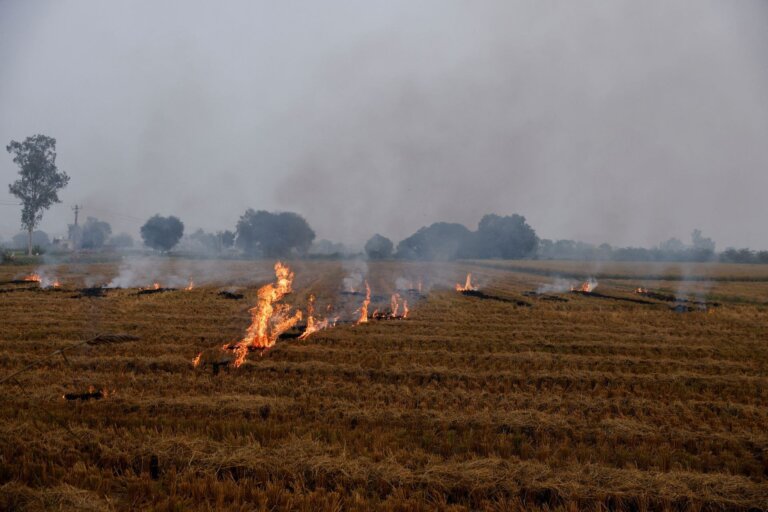 Smoke rises from the burning stubble in a crop field in a village in Karnal district in the northern state of Haryana, India, November 4, 2023.REUTERS/Anushree Fadnavis