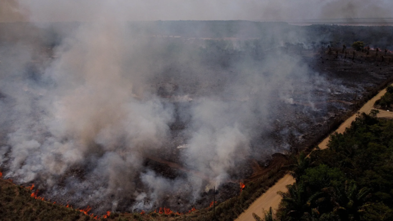 Amazon rainforest nearing tipping points, study finds