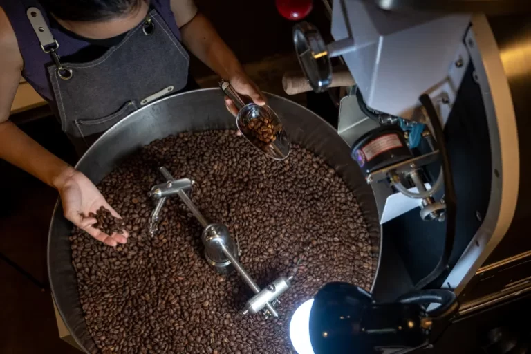 Coffee’s in danger: Can Vietnam’s Robusta save it from climate change?