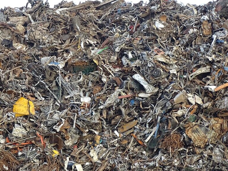 Circular economy could save $100bn on waste management costs annually