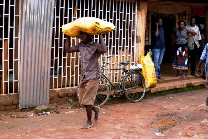 World’s workers increasingly at risk as climate changes, ILO says