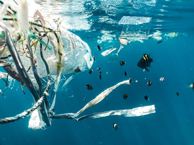 Comment: We cannot win the battle of ‘planet versus plastic’ without robust data