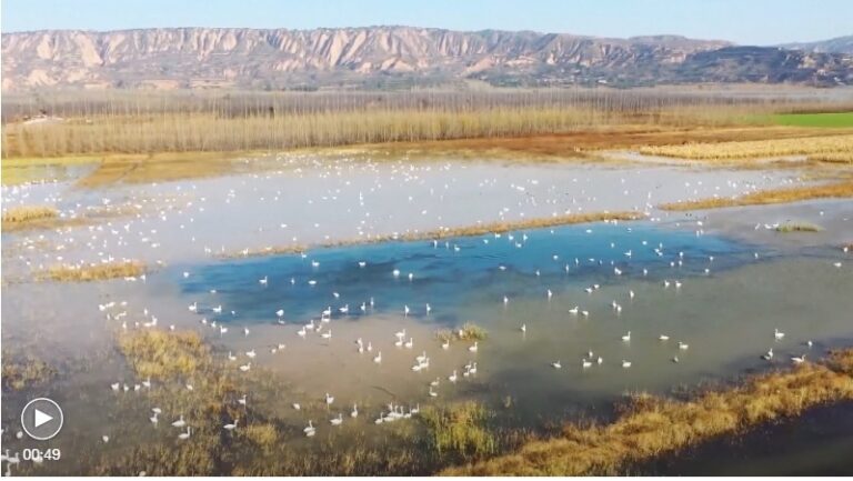 China invests around $125b to protect key ecological areas