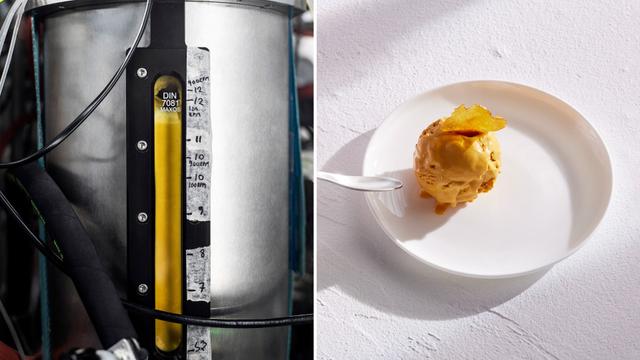 Finland makes world’s ‘most sustainable’ protein from air and electricity