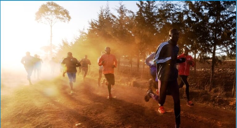 ‘We’re looking at losing 20% of Olympic nations’: how the climate crisis is changing sport