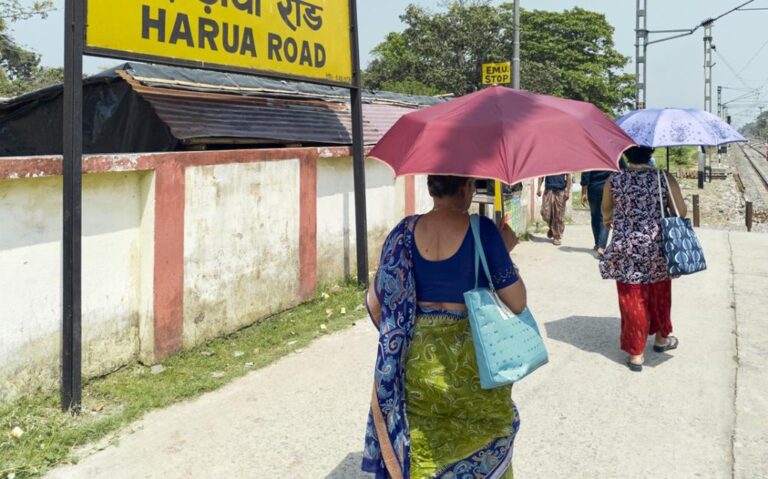 Northern Hemisphere 2023 summer warmest in two millennia; study calls for urgent greenhouse gas reduction