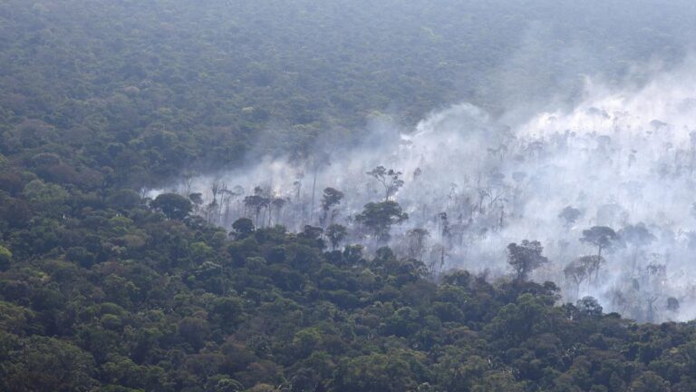 Climate lawsuits build as a Latin American court hears largest case ever