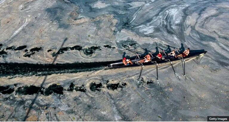 Hurricanes, heatwaves and rising seas: The impacts of record ocean heat