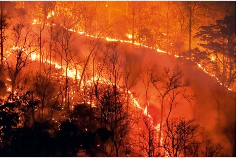 ‘Impossible Not to Feel Hopeless’ – Guardian Survey of IPCC Scientists Reveals 1.5C Goal Out of Reach