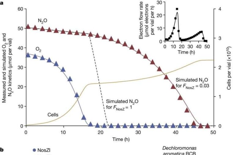 New method could significantly reduce agricultural greenhouse gas emissions
