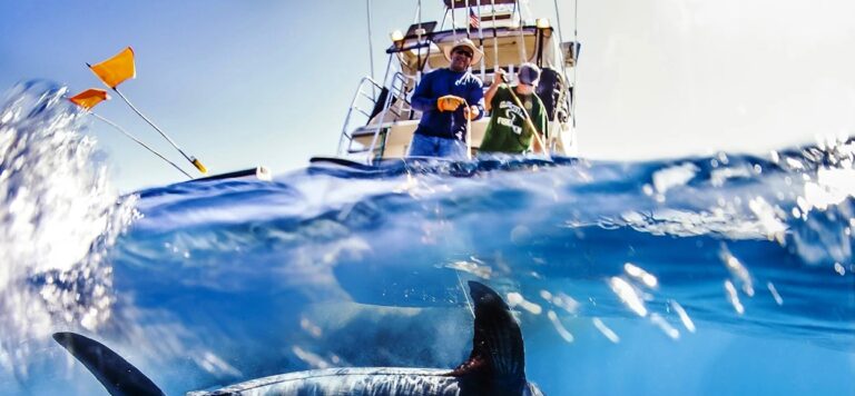 To save the high seas, plan for climate change