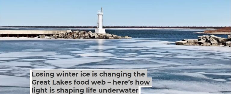 Losing winter ice is changing the Great Lakes food web – here’s how light is shaping life underwater