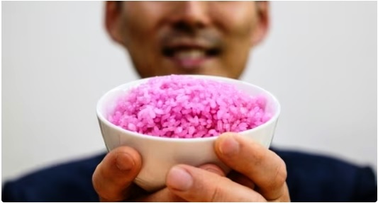 What is ‘meaty rice’? A sustainable protein set to transform the global food industry