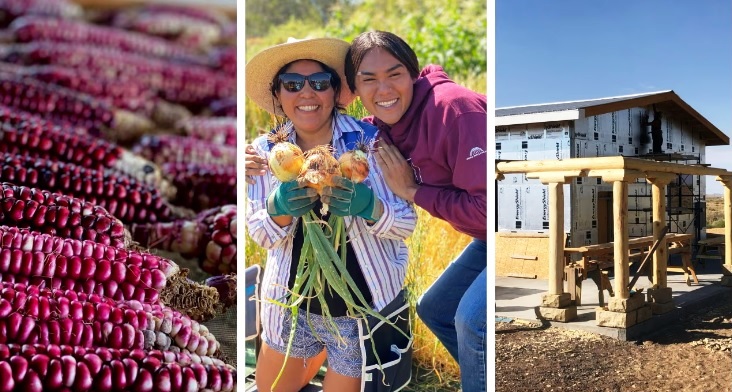 ‘A sanctuary’: how neglected Native American communities are organizing their own food hubs