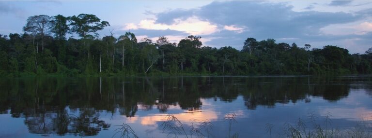 Landmark ruling in Suriname grants protections to local and Indigenous communities — for now