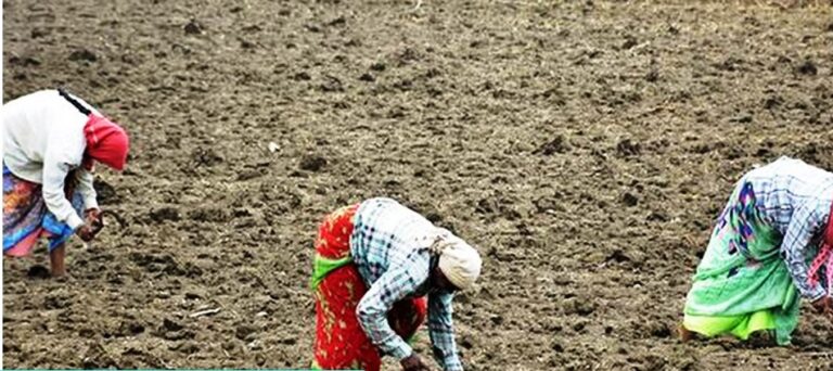 Water credits for improving water use efficiency in the agricultural sector