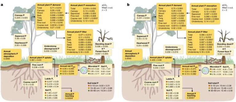 A fierce battle is being fought in the soil beneath our feet—and the implications for global warming could be huge
