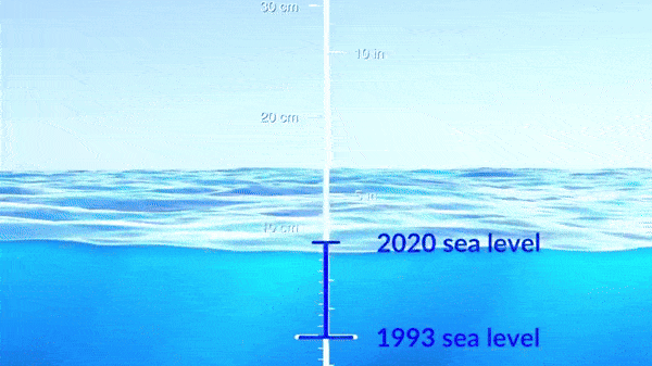Oceans are changing: Nasa graphic shows how global sea levels are rising