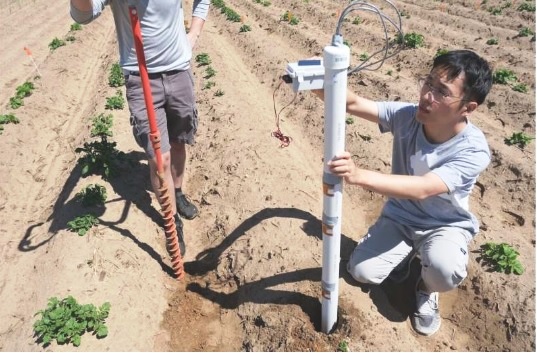 Printed sensors in soil could help farmers improve crop yields and save money