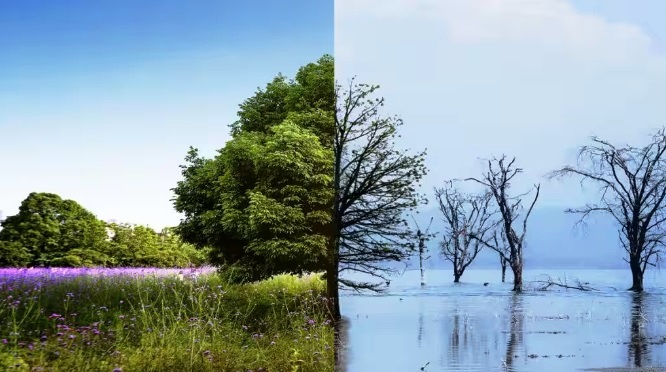 Climate change causing serious health complications among pregnant women, children and older people, health experts warn