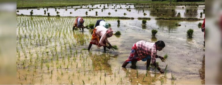 Decoded: What is Agristack system? How will it benefit agriculture sector?