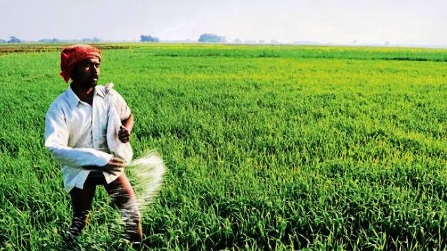 Google launches AI-based agricultural information tool for India to provide insights on drought preparedness, irrigation