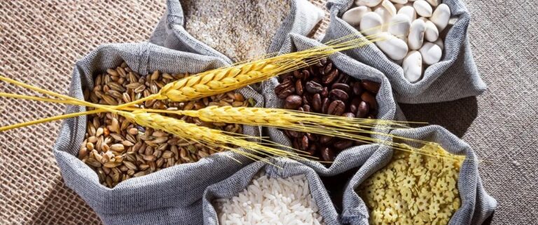 One in 11 people went hungry last year. Climate change is a big reason why