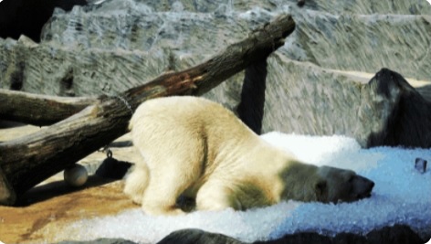 ‘Hellishly hot’: Southern Europe bakes under heatwave, temperatures soar cver 40 degrees C