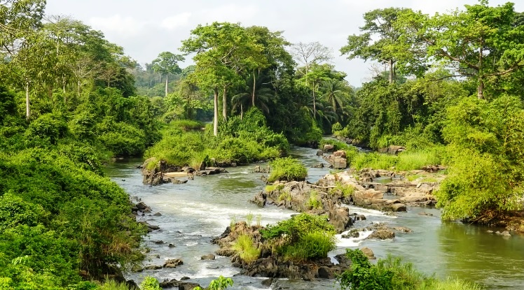 Ivory Coast joins UN Water Convention as 10th African nation