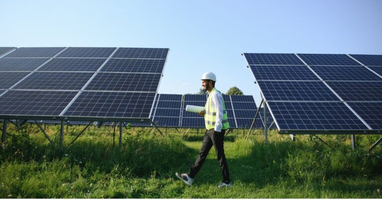 Natural Farming, Solar Energy & More: Will Budget 2024 Push India to a Greener Future?