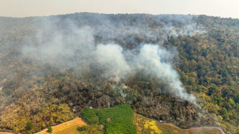 ADB aims to launch $12bn climate finance platform at COP 29