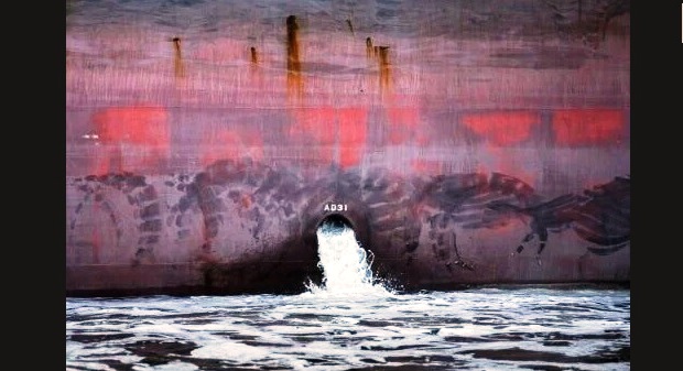 Brazil fishermen turn to mobile app to combat pollution scourge