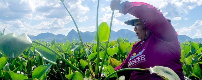 In Brazil’s Pantanal, women find empowerment working with nature’s bounty