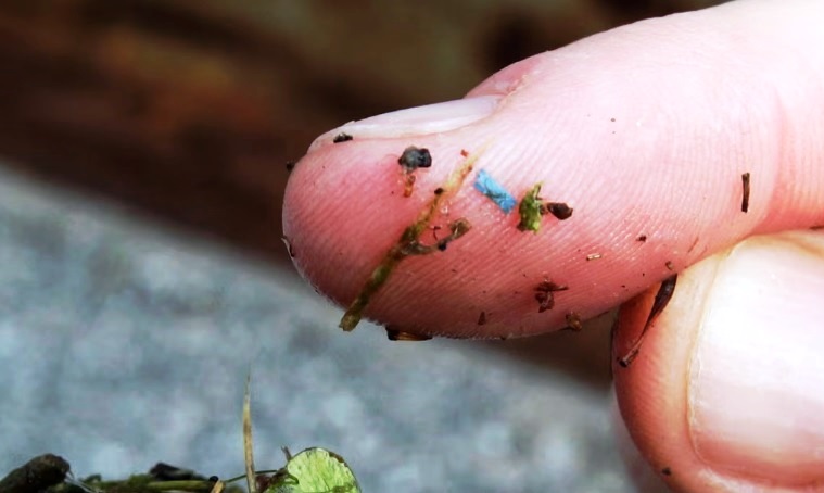 Microplastics are infiltrating brain tissue, studies show: ‘There’s nowhere left untouched’