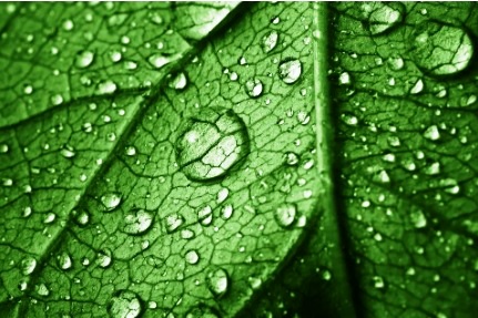 A New Spray Application Technology For Precision Agriculture