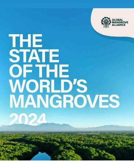 The State of the World’s Mangroves
