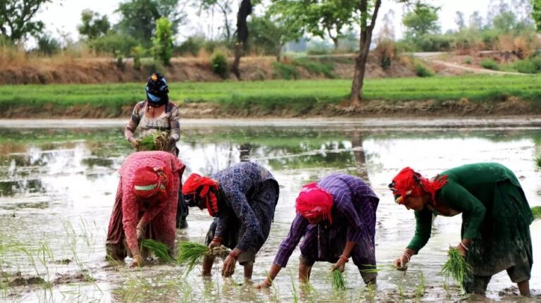 Empowering women farmers and promoting climate resilience in Indian agriculture