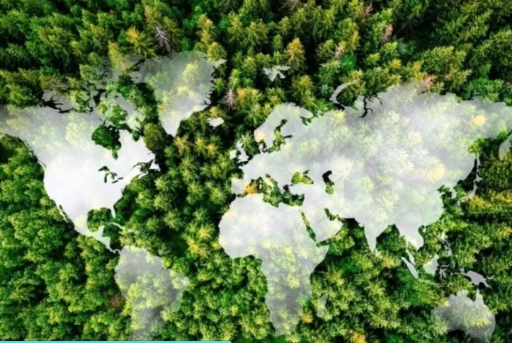 Capable countries must take the lead on climate goals