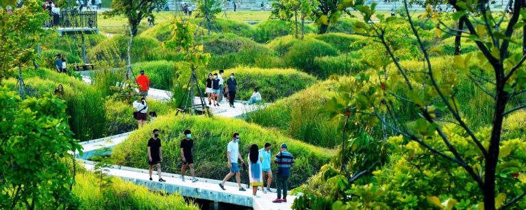 Bangkok turns to urban forests to beat worsening floods