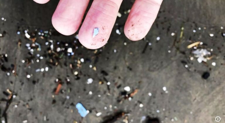 You could be breathing in microplastics that then enter your brain, new research reveals