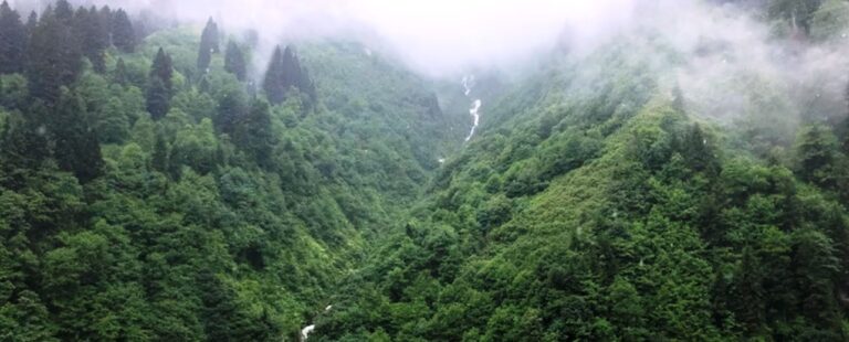 Climate change could reduce Amazon’s methane absorption by 70%: Study