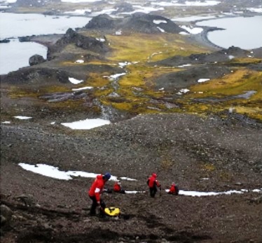 From ice to greenery: How heat events are altering Antarctica’s fragile ecosystem