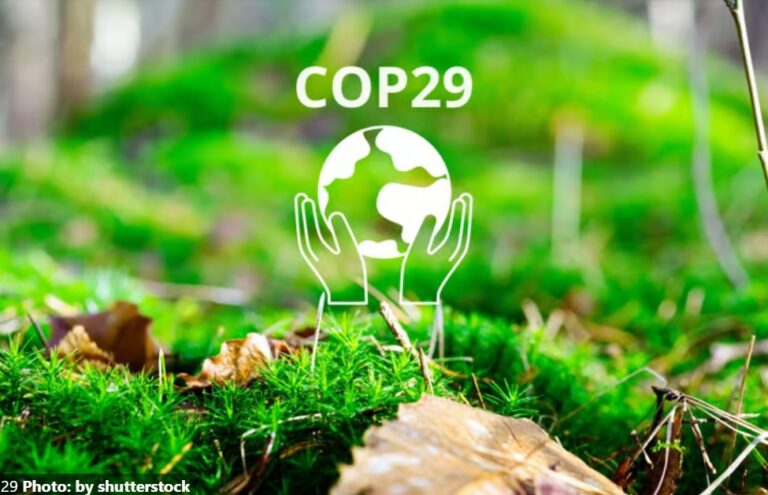 The Road to COP29: What to Expect and Getting involved